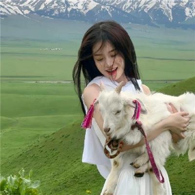 屠龙少年历险记